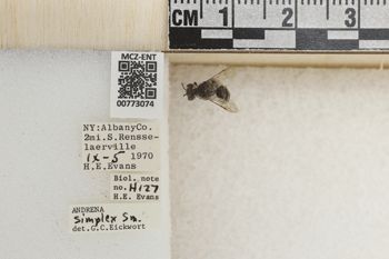 Media type: image;   Entomology 773074 Aspect: Labels